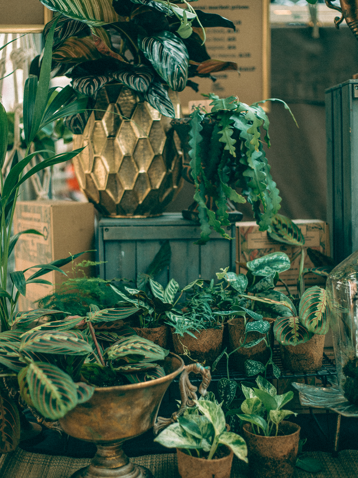 Greenwich Market